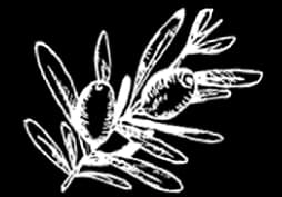 ornament-right